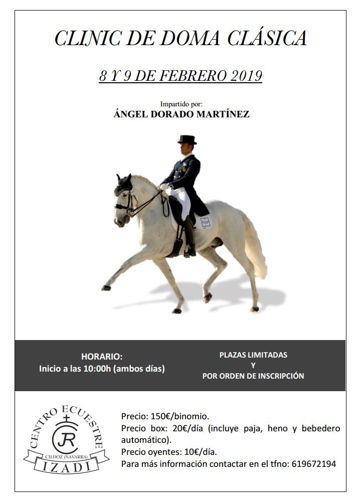 Clinic de Doma Cl&aacute;sica impartido por &Aacute;ngel Dorado Mart&iacute;nez en Centro Ecuestre Izadi los d&iacute;as  8 y 9 de febrero
